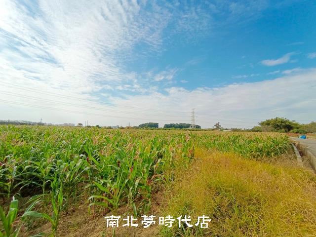 官田農地-5