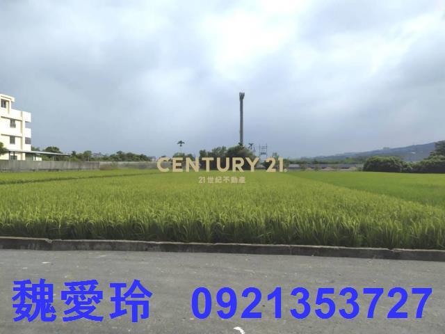 草屯農地-5