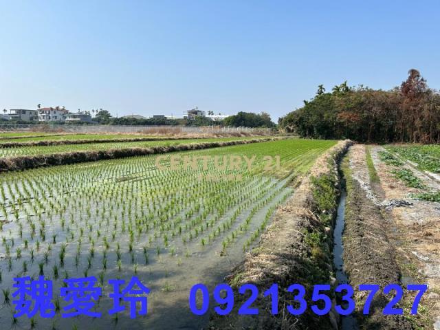 草屯農地-6