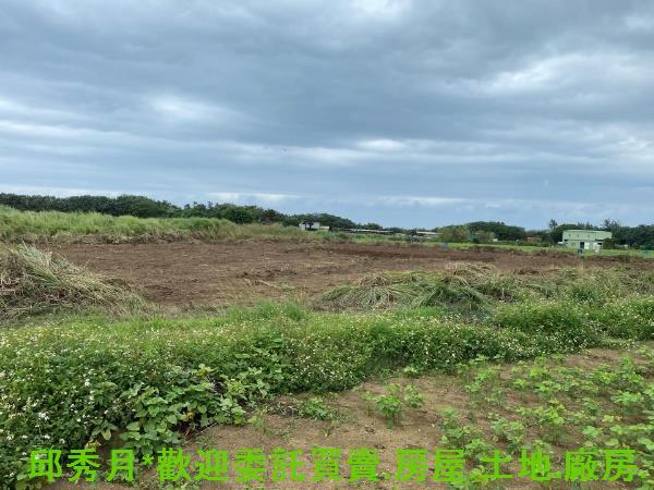 新北淡水農地-2