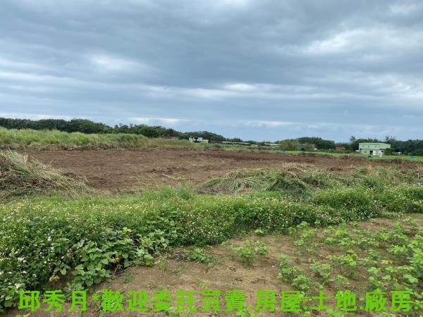 新北淡水農地-4