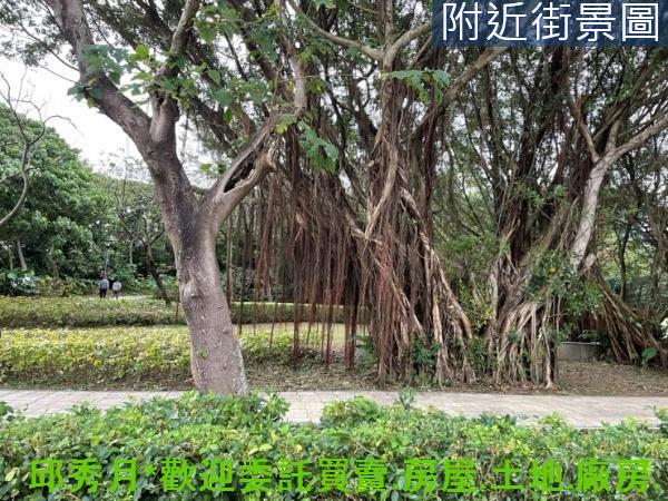 新北淡水都市計畫內-7