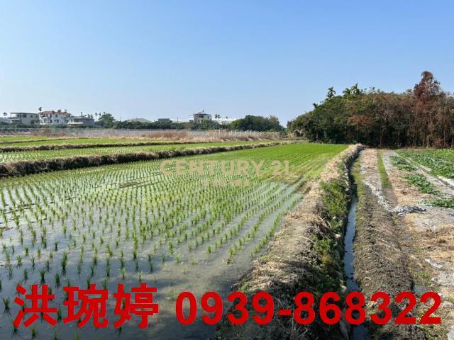 草屯農地-5