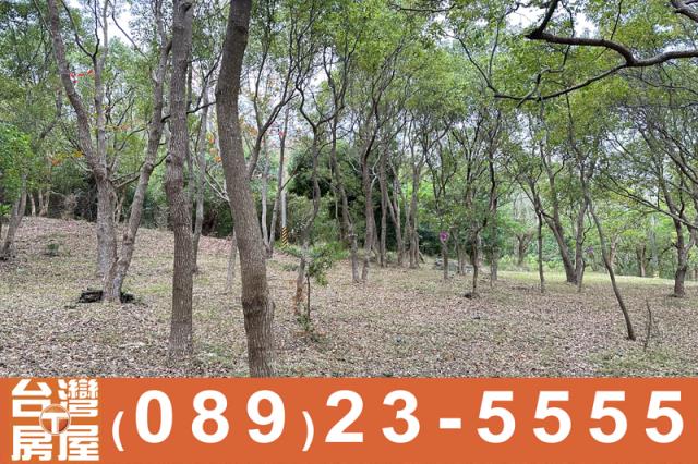 台東卑南農地-5