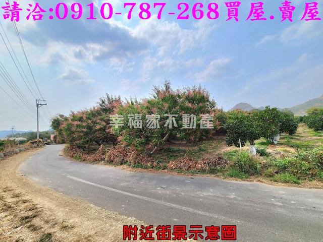 台南玉井農地-12