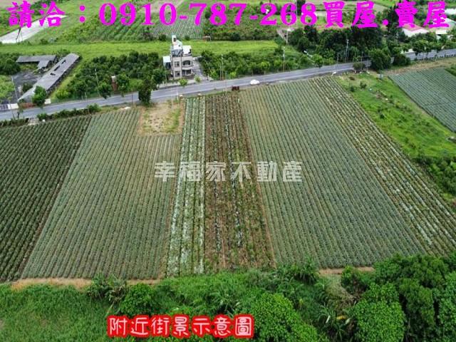 台南山上農地-8