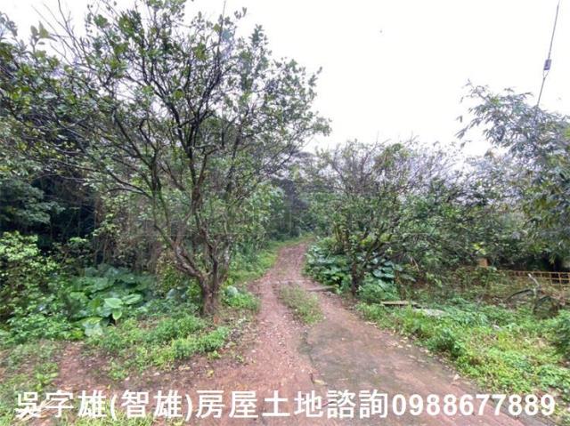 淡水農地-2