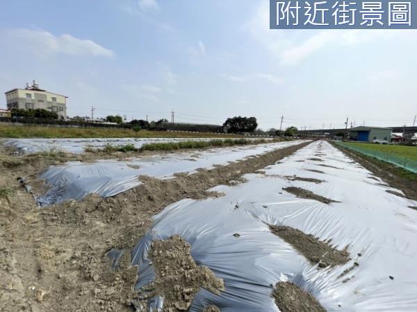 新化農地-1