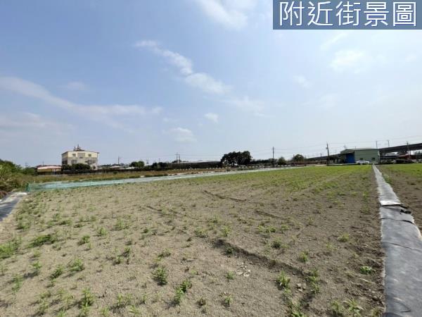 新化農地-5