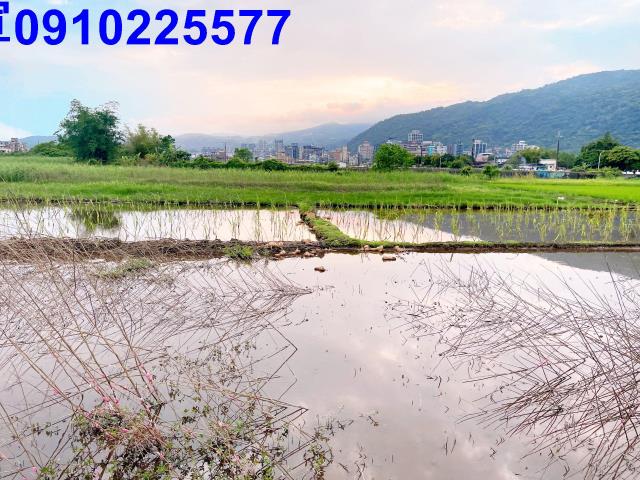 宜蘭礁溪農地-4