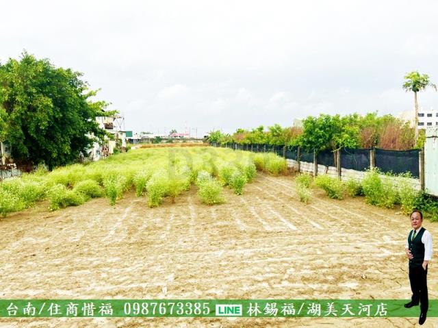 安南農地-5