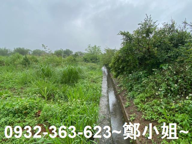 平鎮農地-1