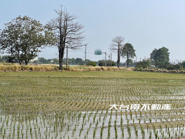 台南善化農地-2