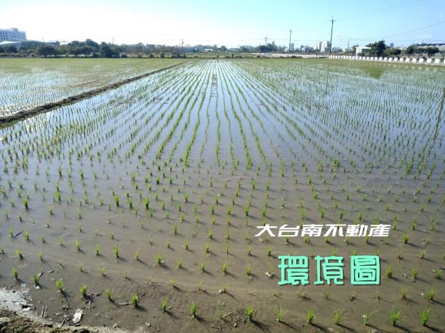 台南善化農地-5