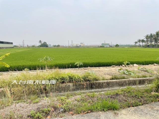 台南新市農地-5
