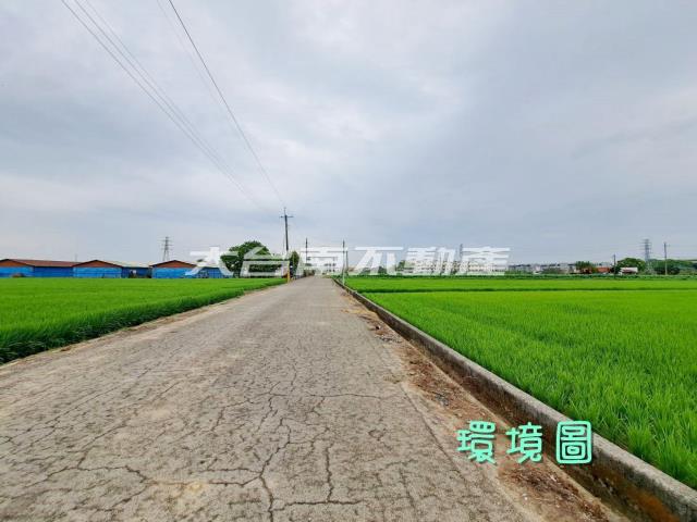 台南善化農地-2