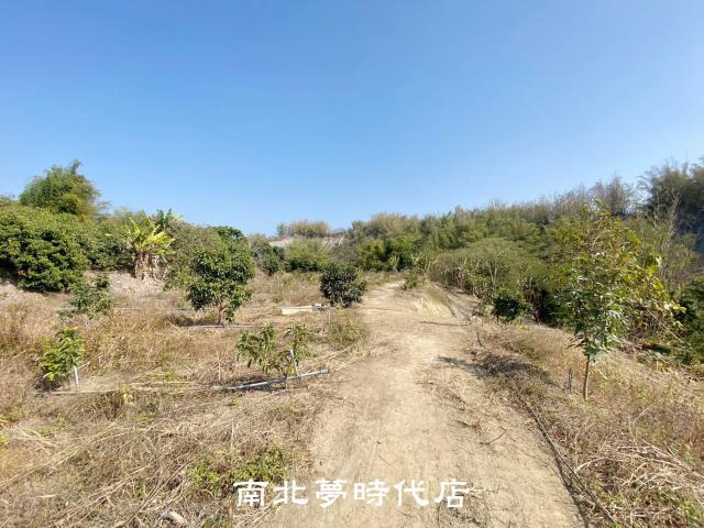 左鎮農地-11