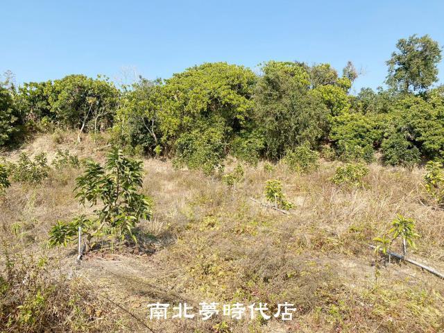 左鎮農地-4