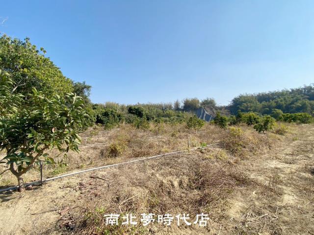 左鎮農地-6