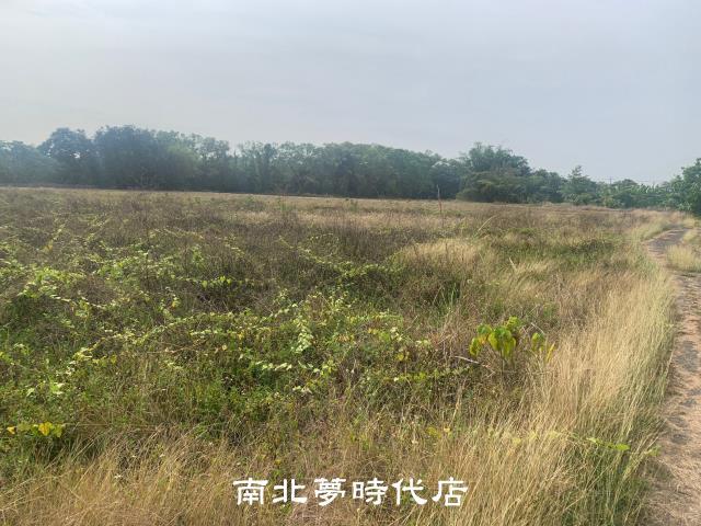 台南新化農地-3