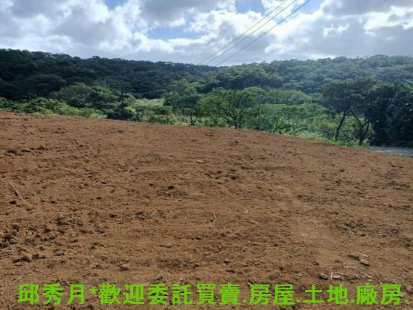 新北淡水農地-10