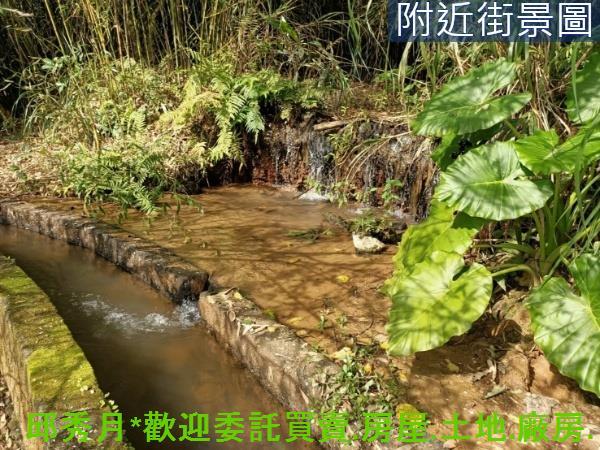 新北淡水農地-5