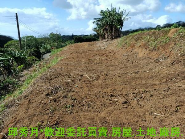 新北淡水農地-6
