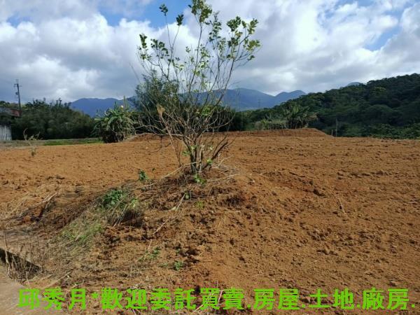 新北淡水農地-9