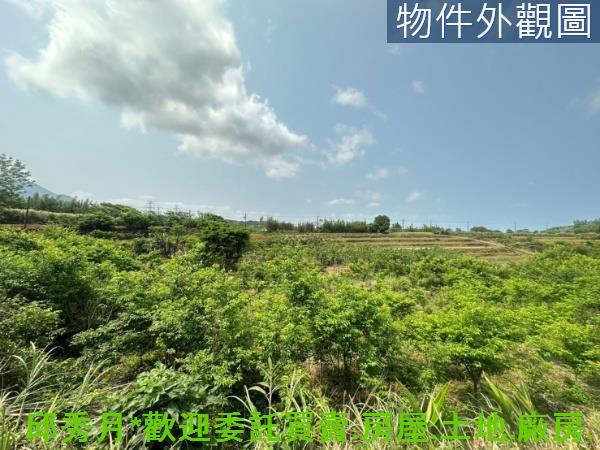 新北淡水農地-2