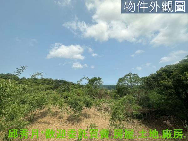 新北淡水農地-5
