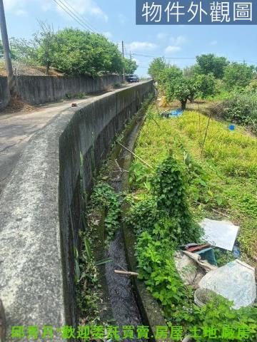 新北淡水農地-7