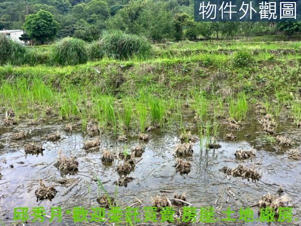 新北三芝農地-4