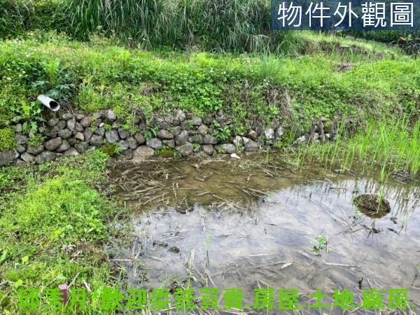 新北三芝農地-5