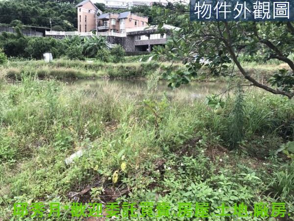 新北淡水農地-5