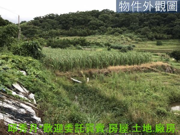 新北淡水農地-8
