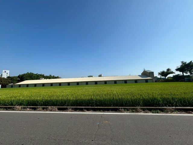 大雅農地-1