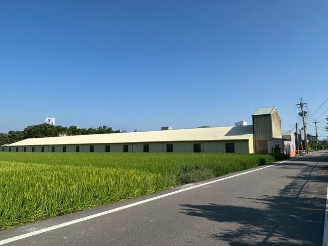 大雅農地-5