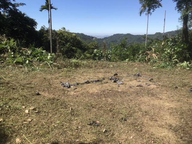 台中太平山坡地-10