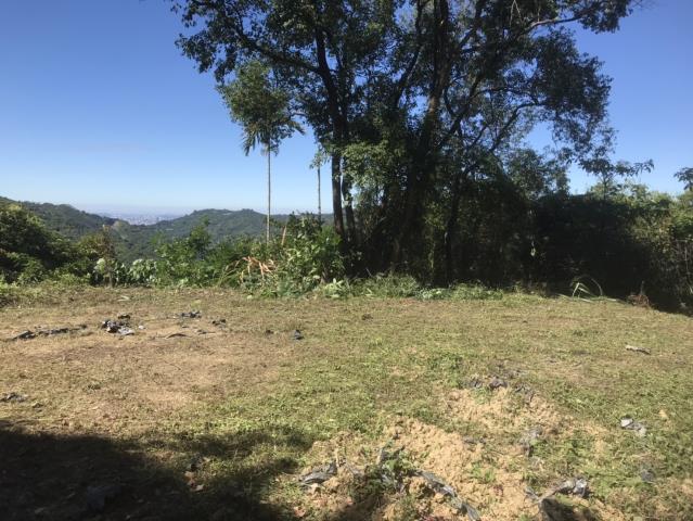 台中太平山坡地-12