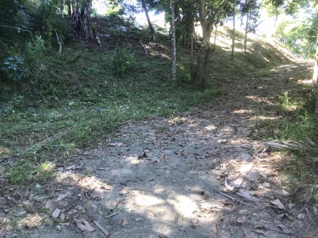 台中太平山坡地-9