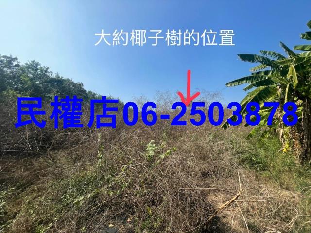 台南農地-1