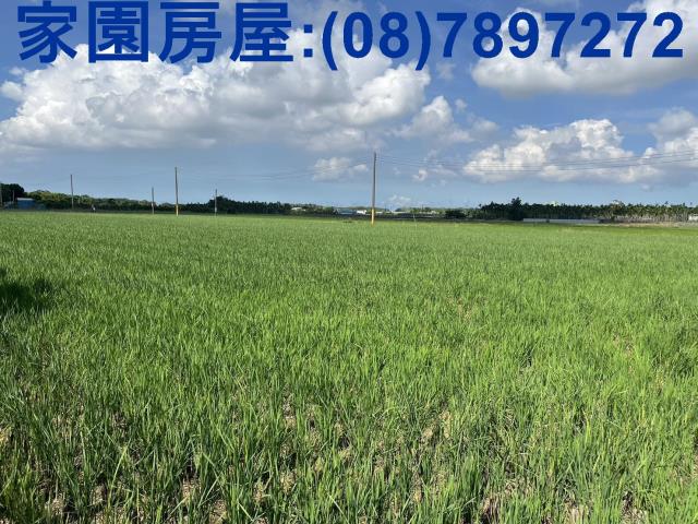 屏東萬丹農地-2