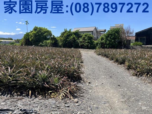 屏東潮州農地-1