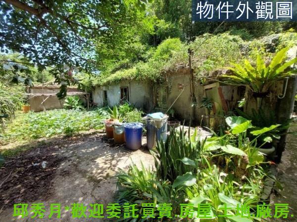 新北農地-1