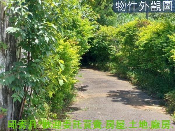 新北農地-4