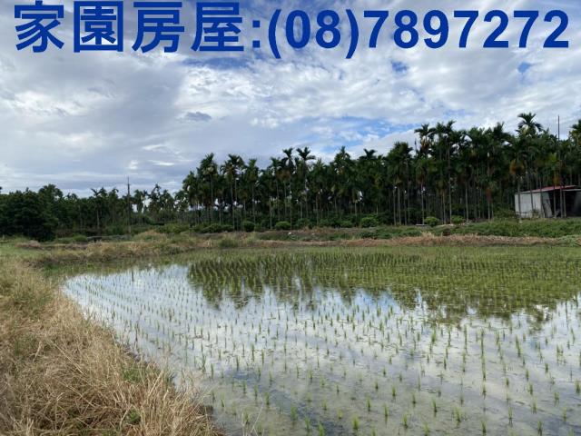 屏東竹田農地-4