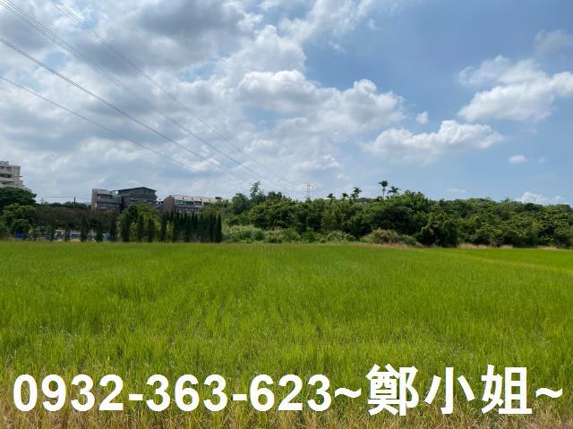 桃園農地-1