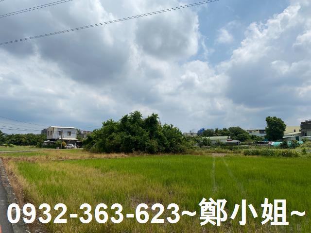 桃園農地-2