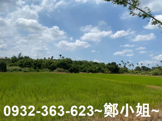 桃園農地-5
