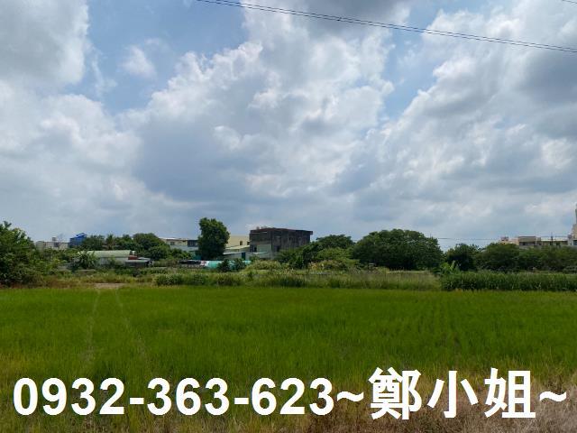 桃園農地-6